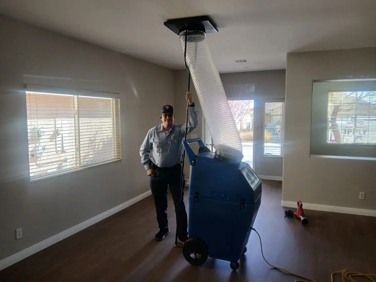 Professional Dryer Vent Cleaning work inside a Ghent home